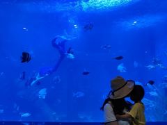 -水上乐园·欢乐世界