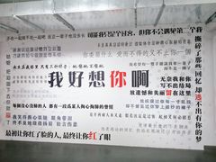-成都失恋馆