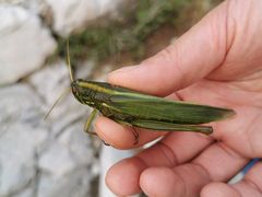 -静之湖湖畔餐厅
