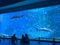 -海合安成都极地海洋公园