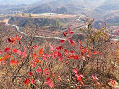 -水峪民俗村