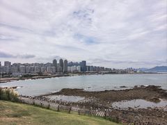 -小麦岛公园