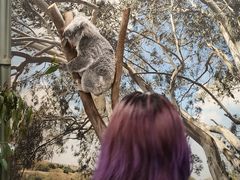 -费瑟代尔野生动物园