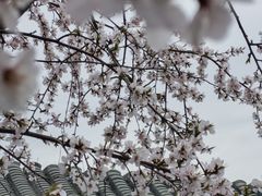 -三里河公园