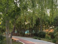 -绿堤公园