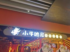 -小牛哈尼章鱼水煎肉(金鹰店)
