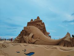 -日照海滨国家森林公园