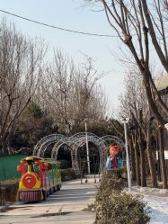 -优沃得自然教育农场·冰雪乐园·生日会·研学