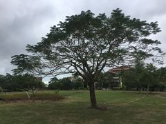 -三亚珠江南田温泉度假区