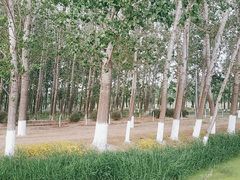 -东郊湿地公园