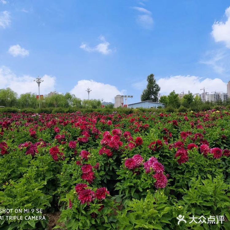可是远远就看到湖水和其他湖水没什么两样