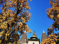 -北京石刻艺术博物馆(五塔寺)