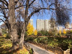 -迎泽公园