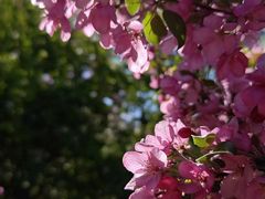 -海棠花溪(元大都城垣遗址公园)