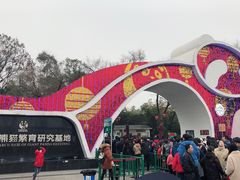 门面-成都大熊猫繁育研究基地