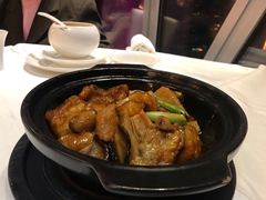 生焖海石斑-广州塔晖粤轩中餐厅