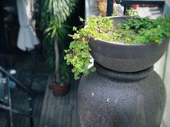 -SUSU·苏苏(四合院创始店)