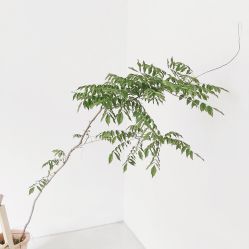 -OOAK设计师品牌概念店(新乐路店)