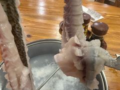 -渔意坊·千层无骨鱼粥底火锅·20年顺德菜(普君店)