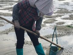 -北海金海湾红树林生态旅游区