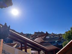 -深圳仙湖植物园