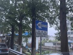 -芦潮港集贸市场