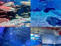 -多彩贵州城极地海洋世界