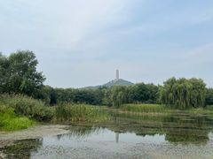 -北坞公园