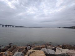 -宝安西湾红树林湿地公园