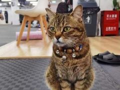 -FIGHTMAN格斗俱乐部(长宁临空店)