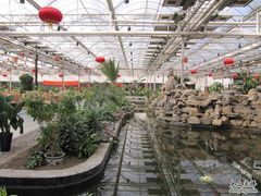 餐厅-龙凤山庄(永定镇店)