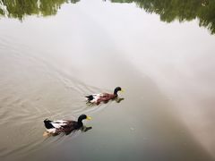 -丰台花园