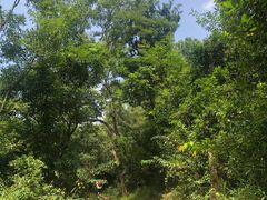 -红旗山庄(圭峰山店)