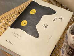 -猫里有甜