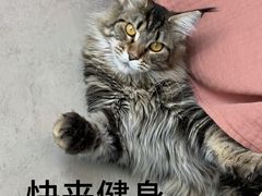 -银锐24h健身·Ai闪练(建设路店)