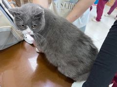 -美联众合动物医院·24h京西诊疗中心