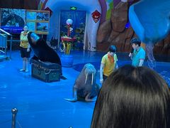 -烟台海昌鲸鲨海洋公园