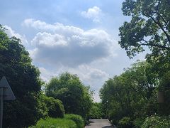 -梁鸿国家湿地公园