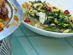 沙葱炒蛋-俭寨大盘鸡·新疆菜·烧烤(博乐店)
