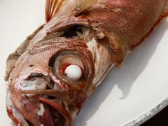 -吴记富苑(朝阳店)