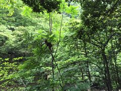 -湖州龙王山景区
