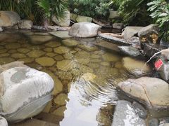 -台山颐和温泉城