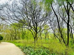 -西湖风景区-江洋畈生态公园