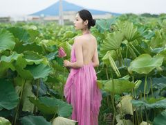 -陶辛水韵