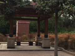-河南财经政法大学(郑东校区)