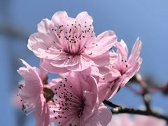 -白塘生态植物园
