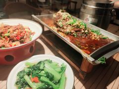 香辣炝锅鱼-树厨贵州菜(大十字店)