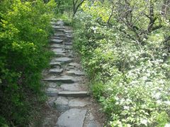 -阳台山自然风景区