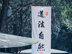 -青城山
