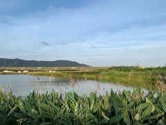 -光明小镇欢乐田园